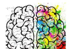 Cerveau